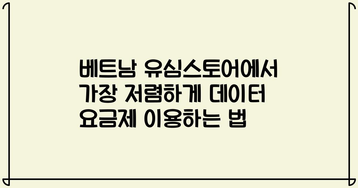베트남 유심스토어에서 가장 저렴하게 데이터 요금제 이용하는 법